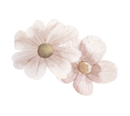 Decorative shape